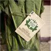 Broccoletto di Custoza in mazzo