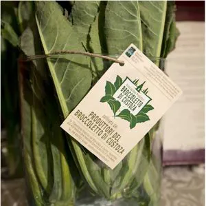 Broccoletto di Custoza in mazzo