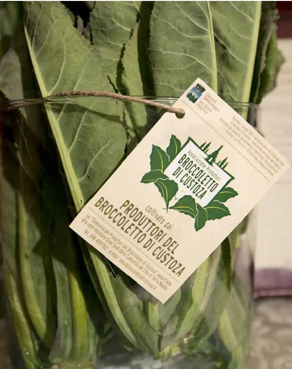 Broccoletto di Custoza in mazzo